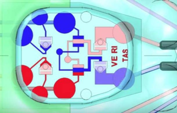 robots con estructura blanda